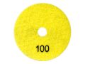 Dysk-polerski-na-rzep-100b.jpg